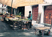 Garagem interropida por barraca e equipamentos na Rua Ortiz Monteiro, em Laranjeiras. Foto: Simone Marinho